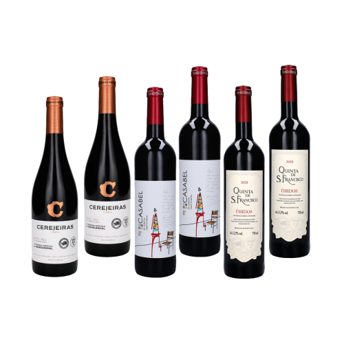 Seleção Vinhos Tintos