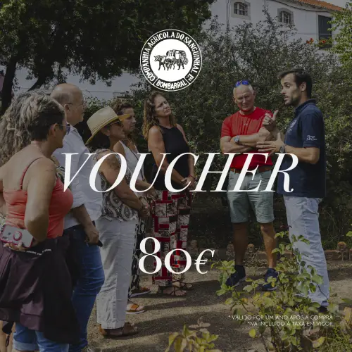 Voucher 80€